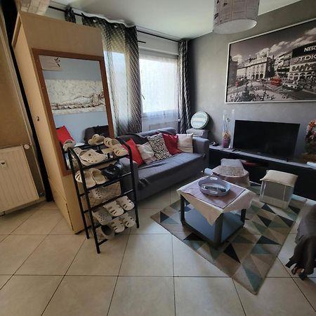 Pour Deplacement 3 Chambres Échirolles Dış mekan fotoğraf