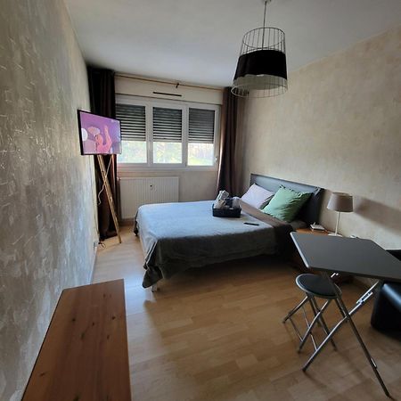 Pour Deplacement 3 Chambres Échirolles Dış mekan fotoğraf